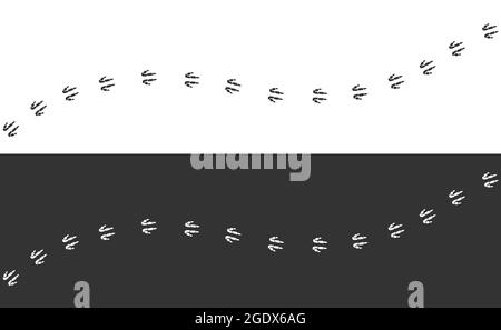 Footpath trail of kangaroo. Footpath trail of wild animal Stock Vector