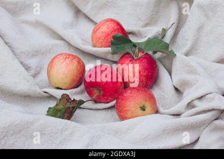 Red apples are lying on a light tablecloth. Autumn mood, autumn vibrations and colors, fashionable autumn style, harvest Stock Photo