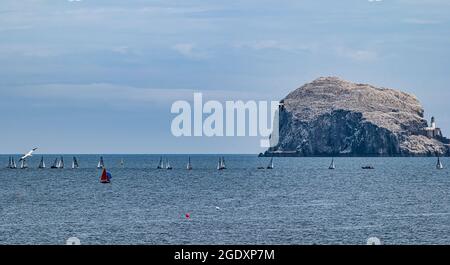North Berwick, East Lothian, Scotland, United Kingdom, 15th August 2021. East Lothian Yacht Club hosts the Aspire Merlin Rocket National Championships sailing race this week. This is the classes' 75th National Championship Stock Photo