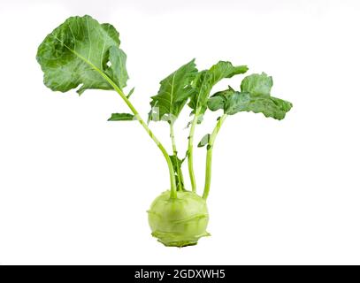 Fresh kohlrabi with green leaves on isolated white backround Stock Photo