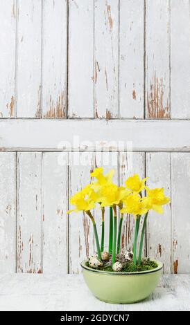 Easter table decoration with daffodils, eggs and moss in ceramic bowl. Stock Photo
