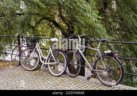 Several bicycles in profile, locked on a fence. Bicycle parking in a public park. Stock Photo