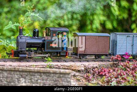 Steaming along. A scale model steam train on a garden railway in Burbage, Wiltshire, UK Stock Photo