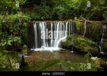Beautiful waterfall in a forest in Galicia, Spain, known by the name of San Pedro de Incio. Stock Photo
