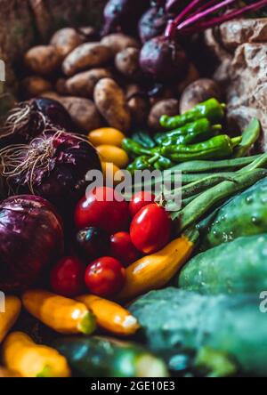 Summer Vegetables Stock Photo