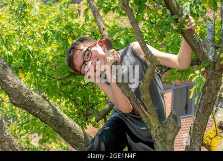 Happy boy smiles and poses as he climbs a tree Stock Photo