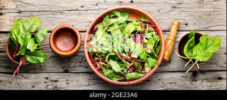 Raw chard leaves on rustic wooden background Stock Photo