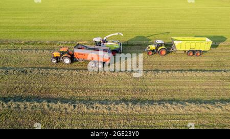 Aerial of tractor baler making straw bales in field after wheat harvest in summer on farm. High quality photo Stock Photo