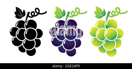 Wine grapes, table grapes. Fresh grape bunch vector isolated on white. Fresh and healthy fruits. Stock Vector