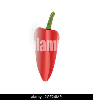 Chili pepper isolated on white background. Ripe chili pepper vector. Stock Vector