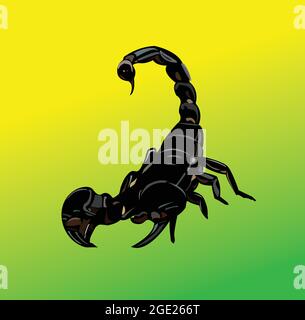 Scorpion vector icon with bright background. Venomous insect. Stock Vector