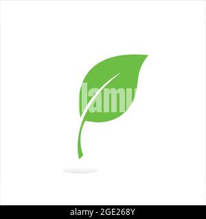 Eco icon green leaf vector illustration isolated. Nature icon. Stock Vector