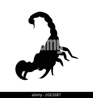 Black scorpio isolated on white Stock Vector Image & Art - Alamy