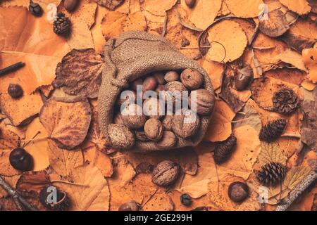 Fall season fruit flat lay top view, creative arrangement with dry autumn leaves decoration Stock Photo