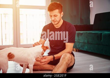 Man doing sport exercises at home with dog. Sport training at home Stock Photo