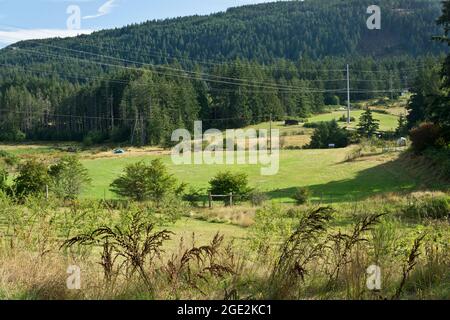 Farm land in the valley on Salt Spring Island, British Columbia, Canada. Salt Spring Island BC in the Southern Gulf Islands. Stock Photo