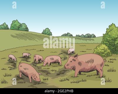 Pigs feeding grass on the hill graphic color sketch illustration vector Stock Vector
