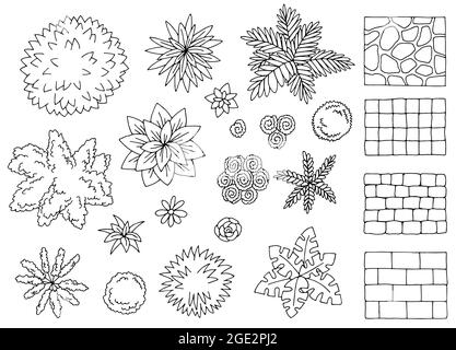 Grass flower set graphic black white isolated sketch illustration ...