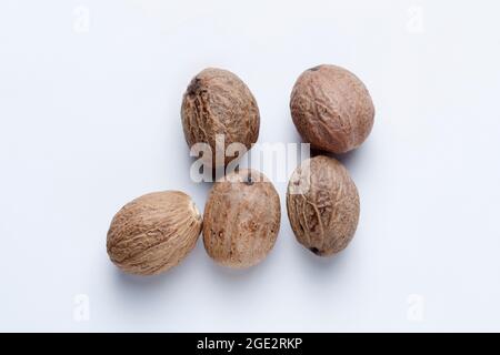 Nutmeg, Myristica fragrans, Satara, Maharashtra, India Stock Photo