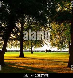 Public park in sunset, Vadstena -Sweden Stock Photo