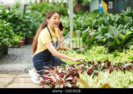 Positive young woman talking on phone with customer preparing plants for delivery Stock Photo