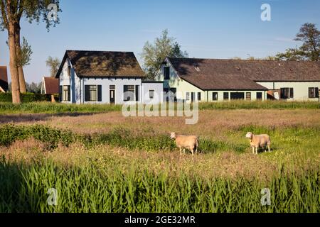 The Netherlands, Edam. Fort bij Kwadijk. Amsterdam Defence Line, UNESCO World Heritage Site. The engineer depot and fort watchman house are what remai Stock Photo