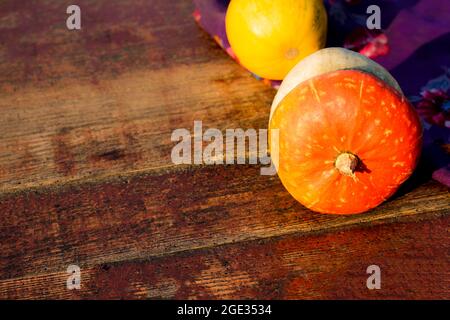 Autumn still life. Sweet little red riding hood pumpkin. Pumpkin seeds. Purple fabric with floral patterns. Wooden red old shabby background. Close up Stock Photo