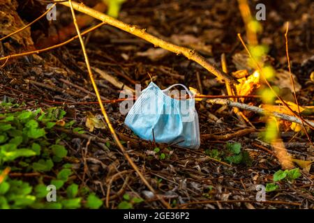 A respirator is thrown away in the forest and pollutes the environment Stock Photo