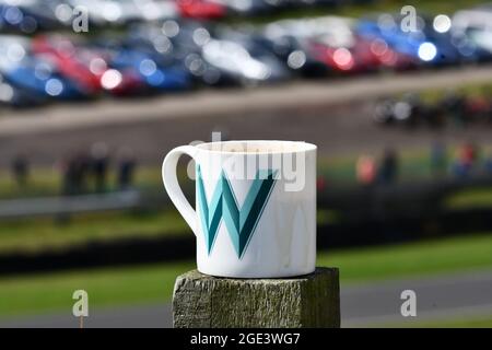 A tea stained porcelain cup sitting on a fence post with a turquoise and green W printed with a blurry view of cars and people in the background Stock Photo