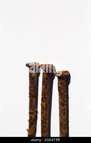 Three old rusty nails on white background. Stock Photo
