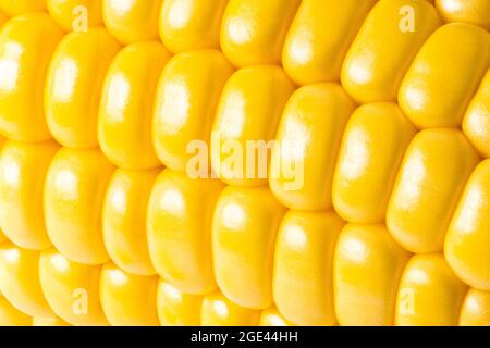 corn texture background. Corn grains close up. Stock Photo