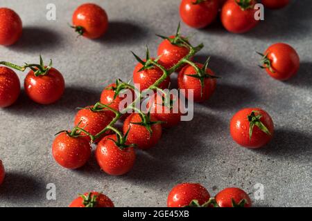 Healthy Organic Red Cherry Tomatoes in a Bunch Stock Photo