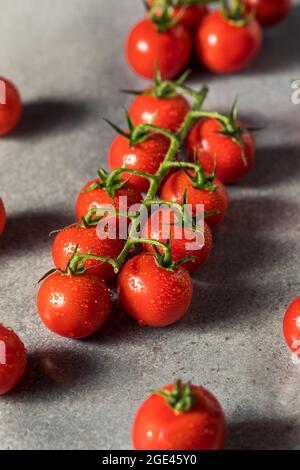 Healthy Organic Red Cherry Tomatoes in a Bunch Stock Photo