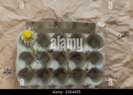 Isolated opened egg tray with dried flowers on kraft paper. Creative eco lifestyle concept with recycled material. Top view. Stock Photo