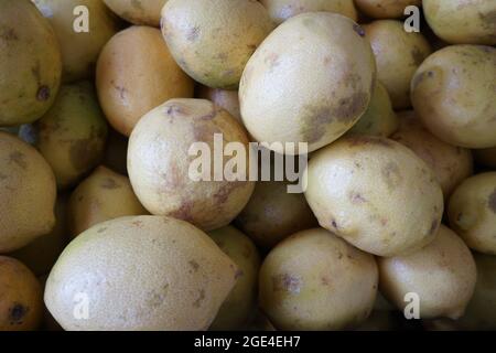 Colorful,Fresh Lemons in Market,Natural Vitamin C coming from Morocco, Healthy Seasonal fruits, ready to consume Stock Photo