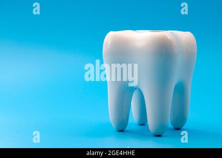 Dental high quality Hygiene Anatomical Model