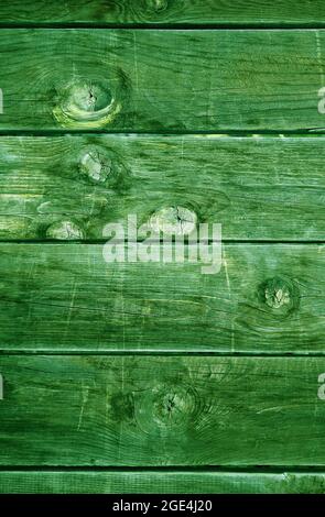 Deep forest green colored horizontal pattern grunge wooden wall for background Stock Photo