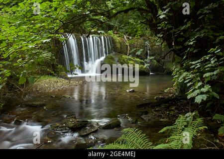 Beautiful waterfall in a forest in Galicia, Spain, known by the name of San Pedro de Incio. Stock Photo
