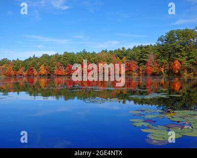 Fall Colors Reflection on Lake Stock Photo