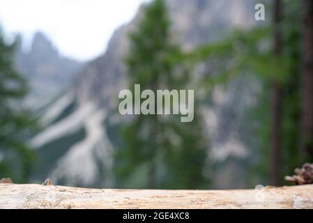Empty cut trunk with blur background of fresh and green mountain. In the background green trees and high mountains. Blurred background. Copy space for Stock Photo