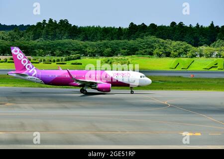 Peach Aviation, Airbus, A320 CEO, WL, JA07VA, Taxi to TO, Tokyo Narita Airport, Chiba, Japan