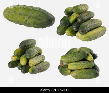 Fresh cucumbers grown in the home garden. Vegetables used in home cooking. Isolated background. Stock Photo