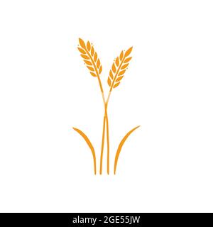 Wheat, barley, rice icon. Hand drawn sketch style oat with grain. Wheat isolated vector illustration. Golden color barley. Stock Vector
