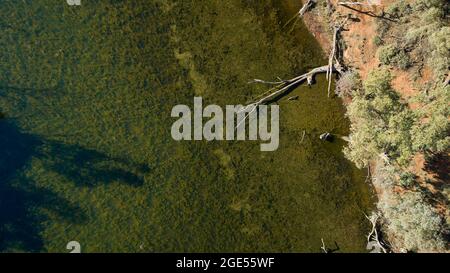 Aerial image looking down on water and trees, Andruco Lagoon, NSW, Australia. Stock Photo