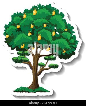 Mango tree sticker on white background illustration Stock Vector