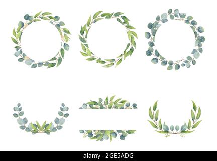 Eucalyptus branches wreaths with watercolor style.  Wedding greenery in circle decorative design elements. Stock Vector