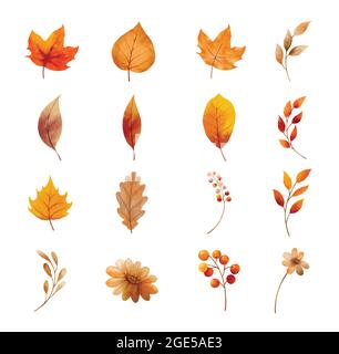 Autumn leaves and flower set isolated on white background. Leaf with watercolor style. Stock Vector