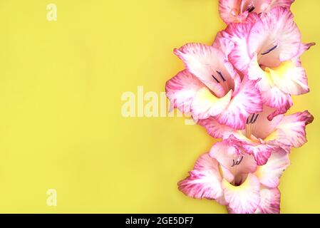 White-pink delicate gladiolus flowers on a yellow background, copy space. Stock Photo