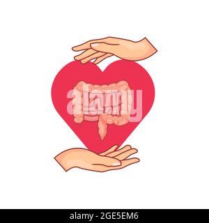 Taking Care Of Your Intestines vector illustration Stock Vector