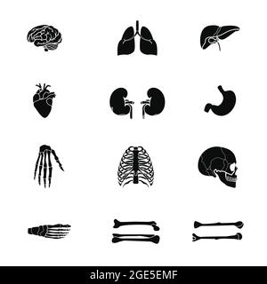 set icon silhouette human organ. skull. bone. arm. hand. leg. foot. kidney. liver. heart. brain. stomach Stock Vector